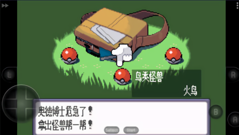 口袋妖怪蓝宝石内置金手指版