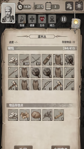 荒野日记孤岛不减反增版
