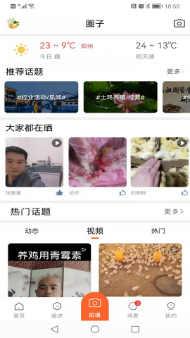 中国鸡病专业网论坛