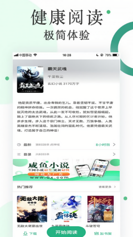 咸鱼小说