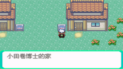 口袋妖怪传说绿宝石火箭队模式免费版