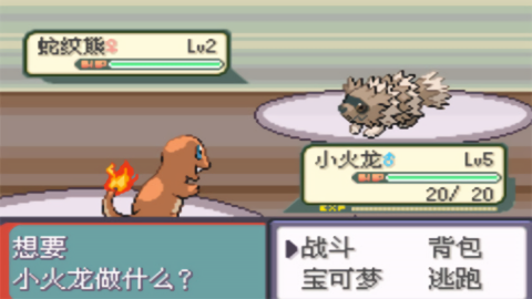 口袋妖怪传说绿宝石全随机版
