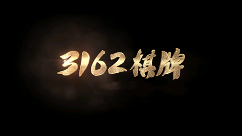 3162十年品牌