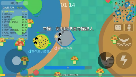 丛林大作战2024