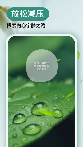 Now冥想免费版