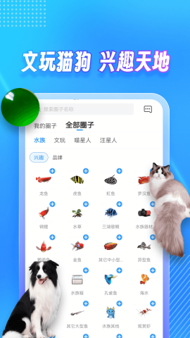 龙巅论坛app