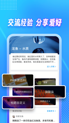龙巅论坛app