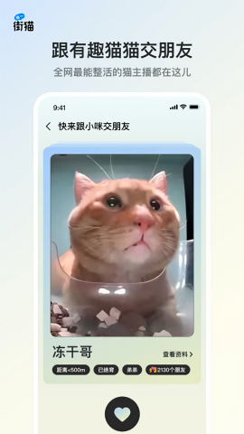 哈啰街猫app官方版