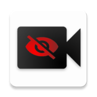 bvr pro中文版