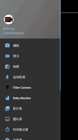bvr pro中文版