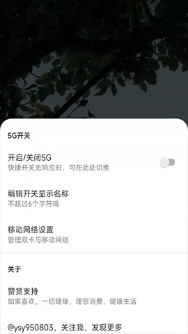 miui状态栏5g开关v1.2.1安卓版