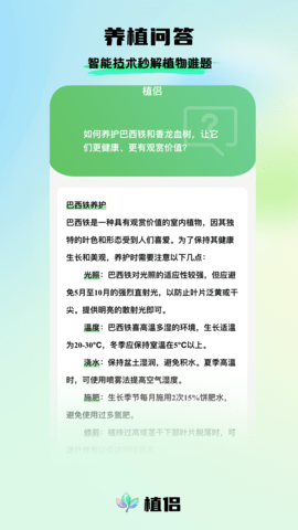 植侣