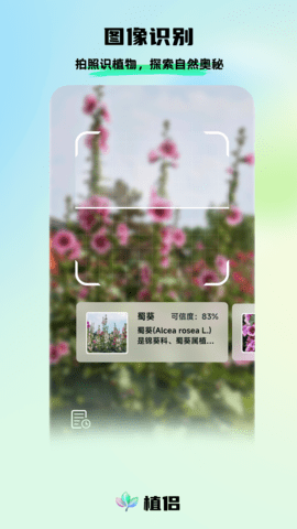植侣