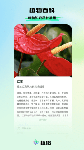 植侣