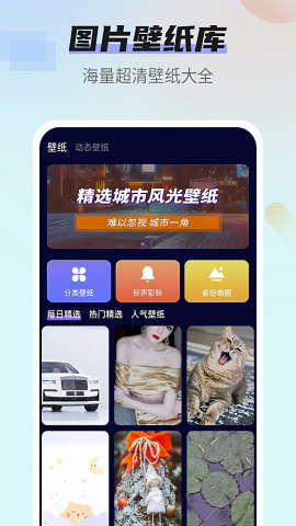 番茄动态壁纸2024最新版