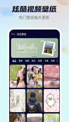番茄动态壁纸2024最新版