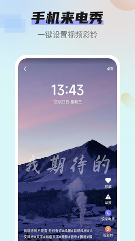 番茄动态壁纸2024最新版