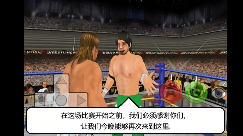 摔跤革命3D属性加强版