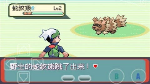 精灵宝可梦绿宝石快速升级版