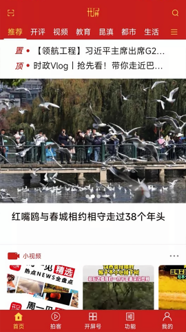春城晚报开屏新闻