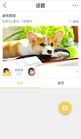 茸城论坛