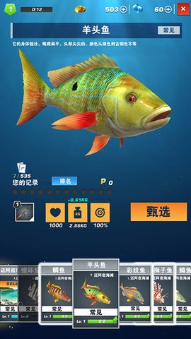 3D真实钓鱼中文版