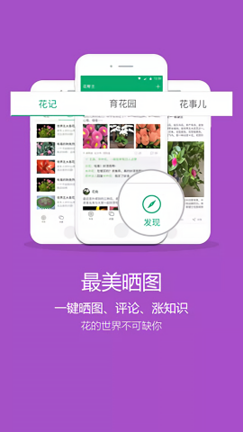 花帮主识花