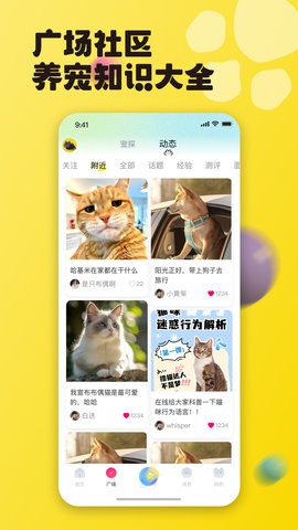 宠之谷