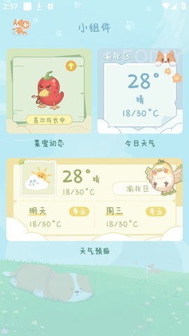 菜宠天气最新版