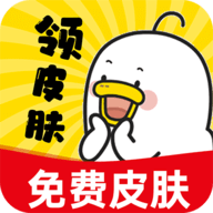 皮肤王国