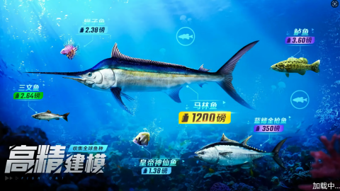 野外钓鱼大师
