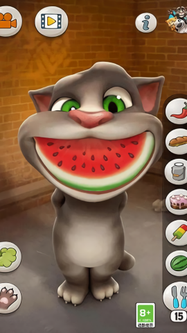 会说话的汤姆猫手游版