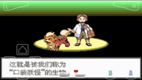 口袋妖怪极光石游戏
