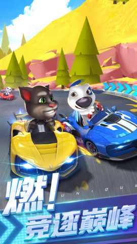 汤姆猫飞车