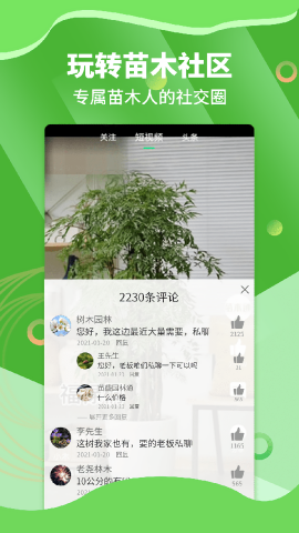 苗木通