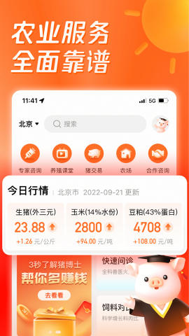 正大猪博士