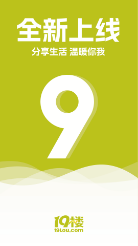 19楼论坛
