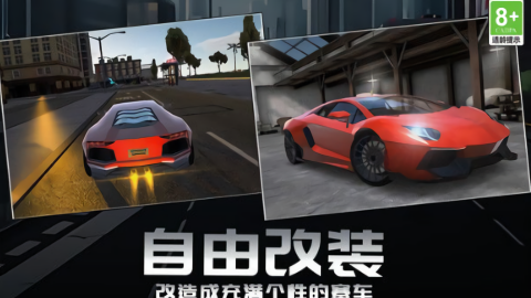 赛道狂野王者