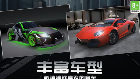 赛道狂野王者