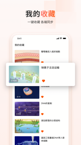 火花学院