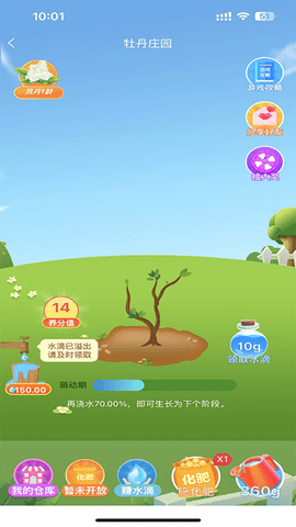 龙池牡丹