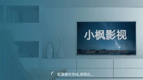 小枫影视电视版