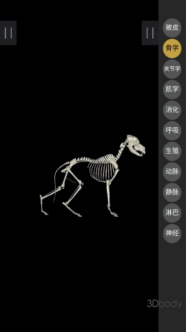 3dbody宠物版