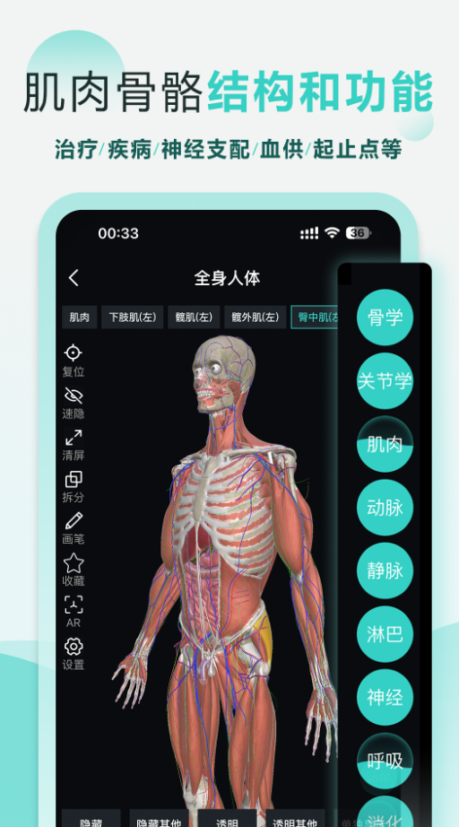 掌上3D解剖