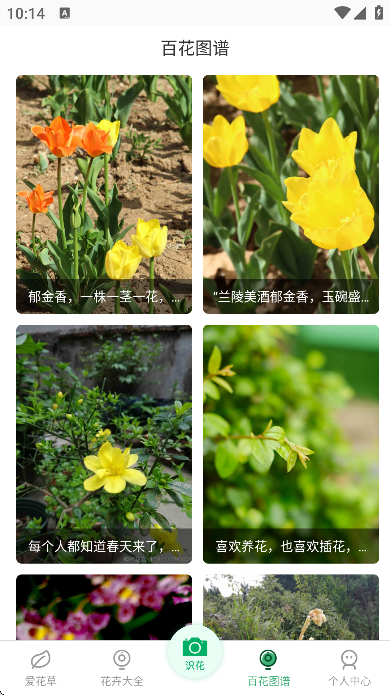 花草识别神器最新版