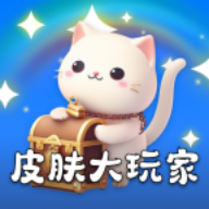 皮肤大玩家