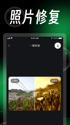 蛋糕云修