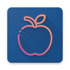 iOS Widgets