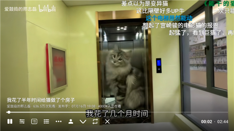 BBLL电视版1.5.0
