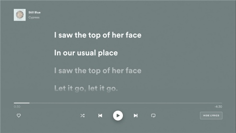 Spotify TV版